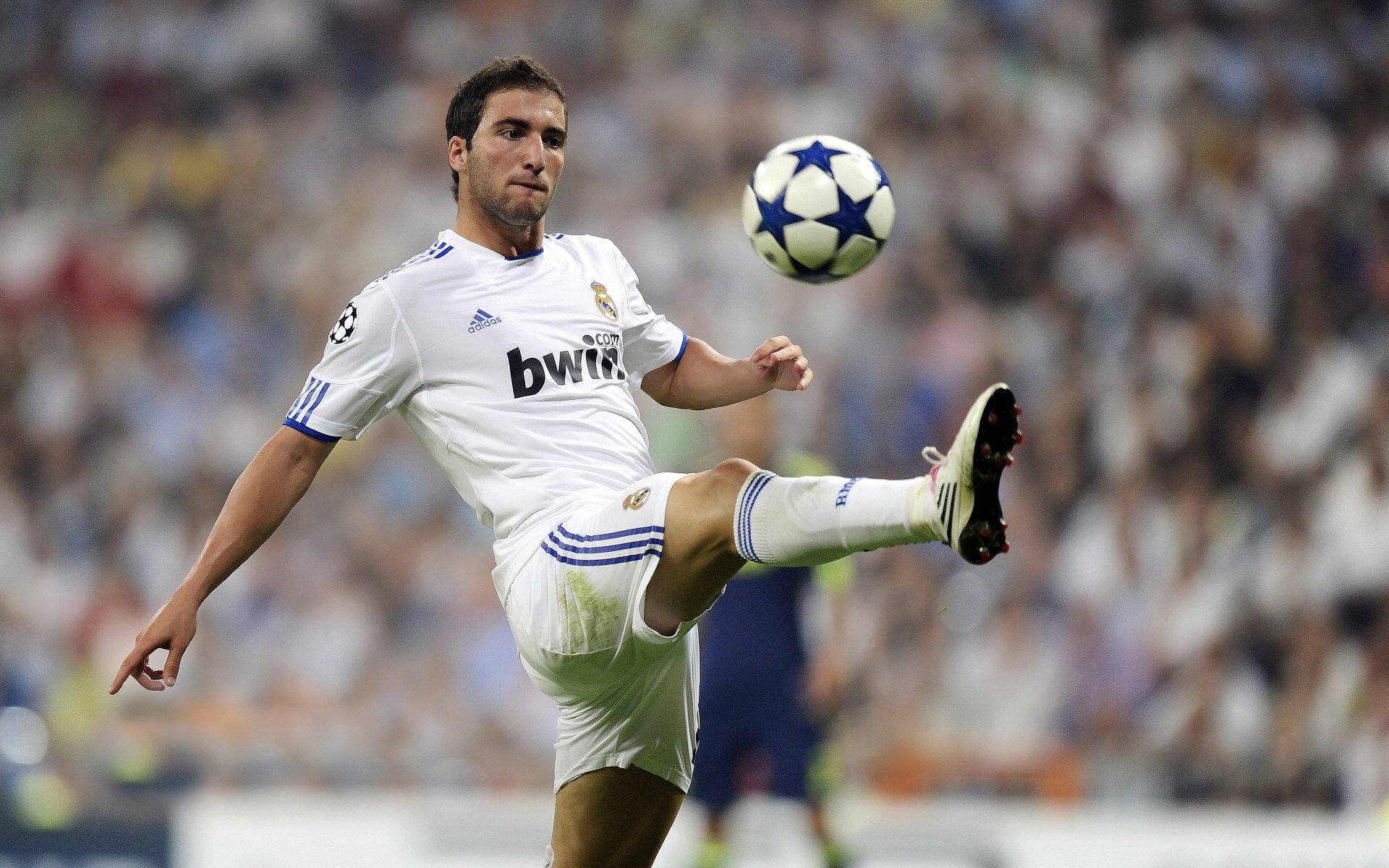 穆雷回归赛场，连败首场状态亮眼，MAD观众沸腾！